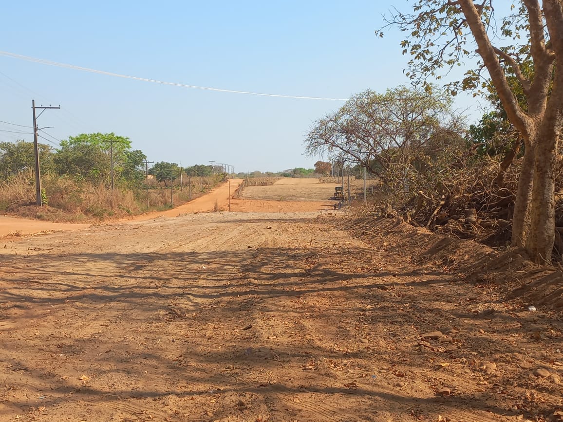 Peixe retoma asfalto da estrada da Praia da Tartaruga após troca de empresa