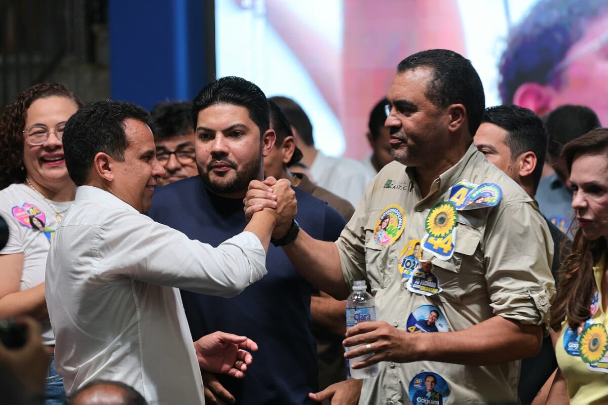 Dorinha pede Fábio Vaz no Congresso para ajudar a executar projetos da educação