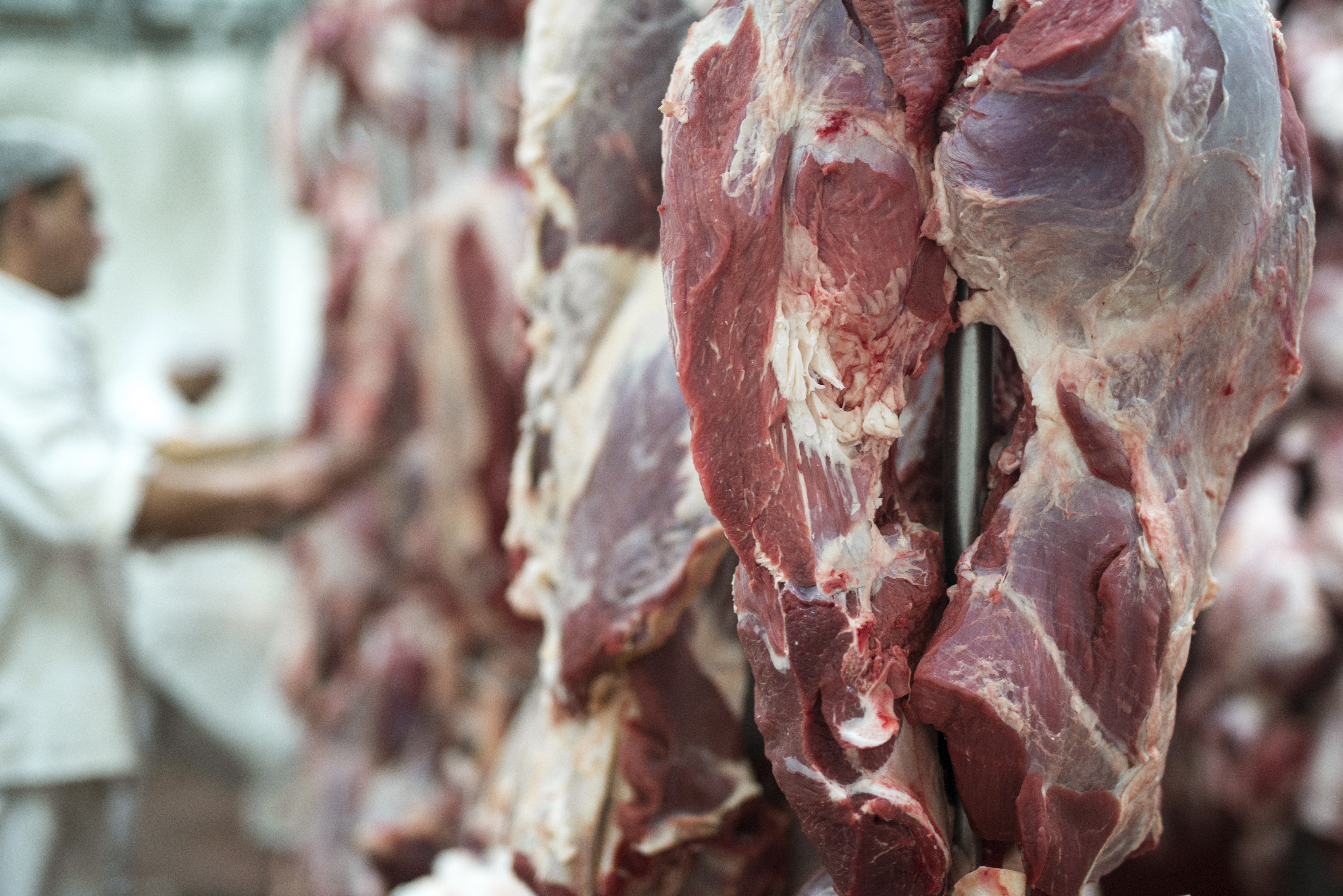 Arroba do boi sobe, mas exportações de carne recuam no início de setembro
