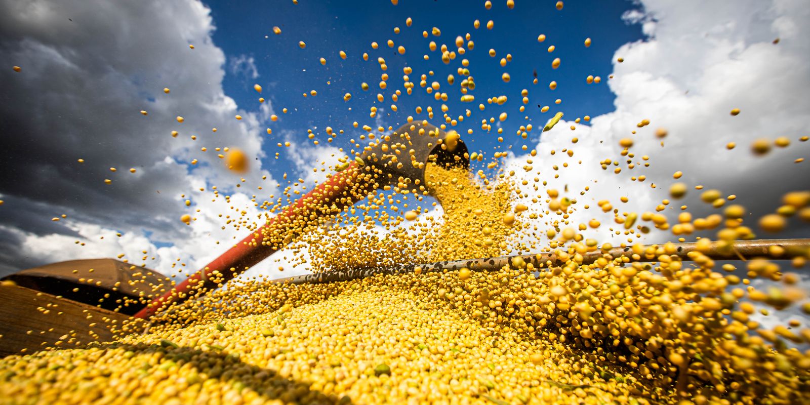 Valor da produção agrícola cresce 18,4% e alcança R$ 927 bilhões