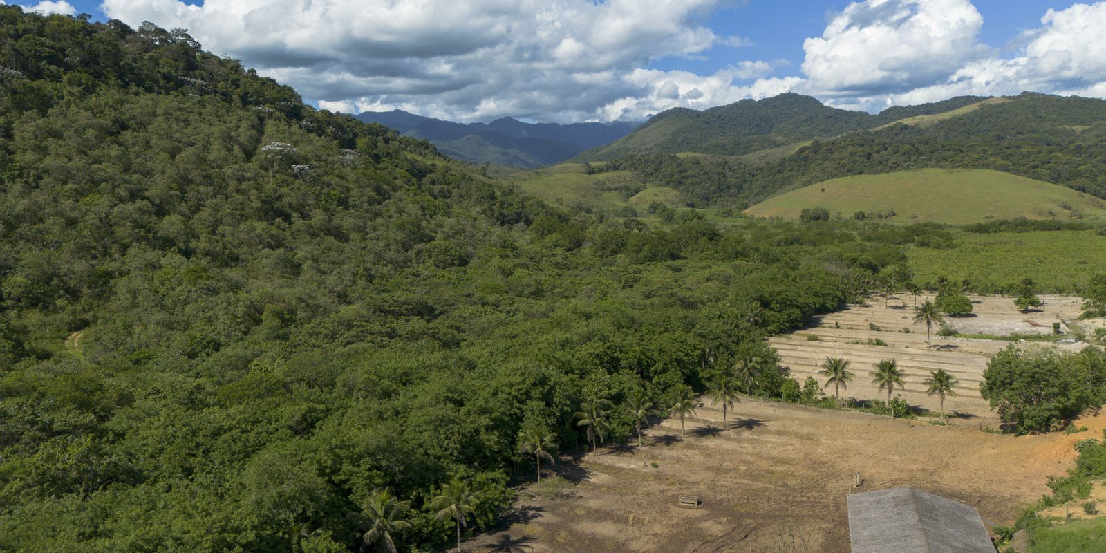 Mata Atlântica perde 10 milhões de hectares e agricultura avança
