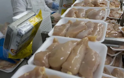 Ministério espera retomada das vendas de frango à União Europeia